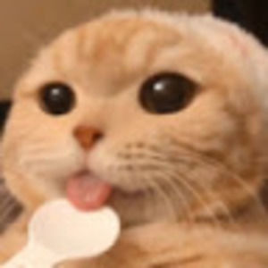 Meet your Posher, Esme